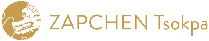 Zapchen Logo